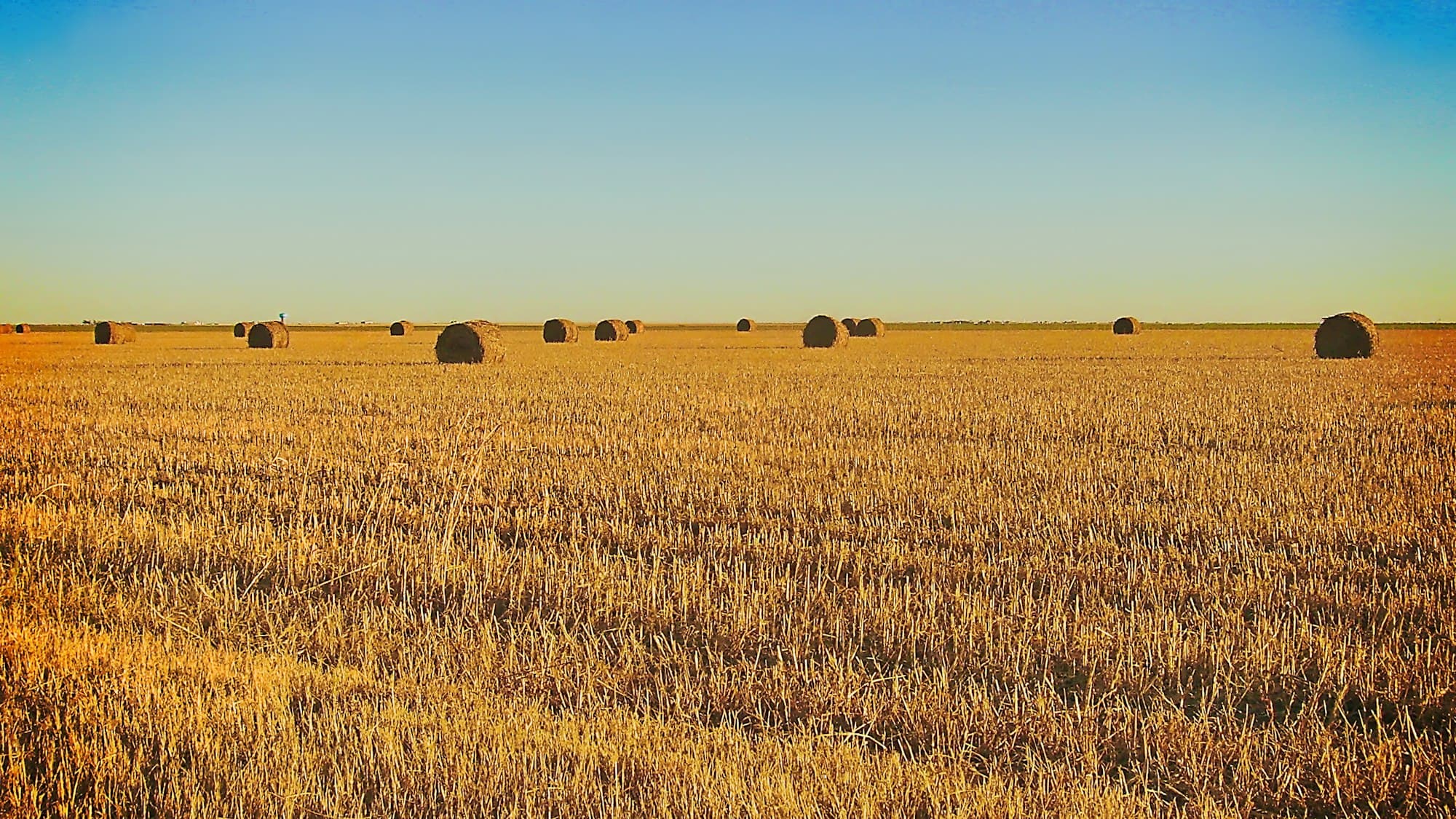 Open Texas ranch land under a wide blue sky